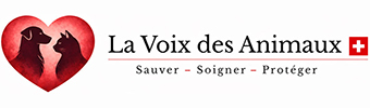 La Voix des Animaux